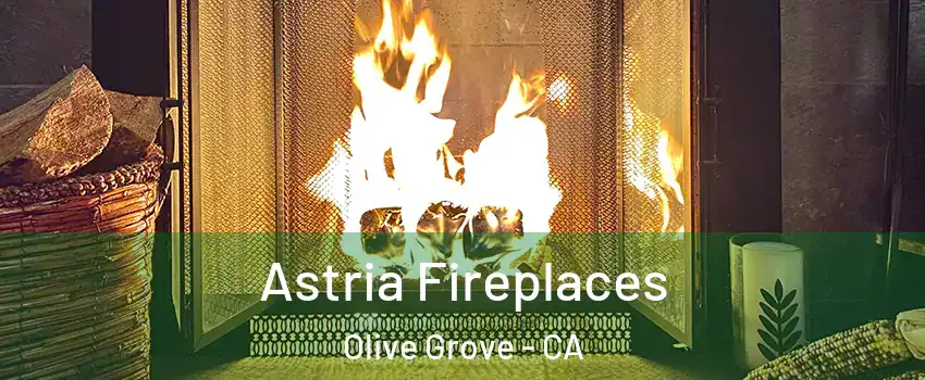 Astria Fireplaces Olive Grove - CA