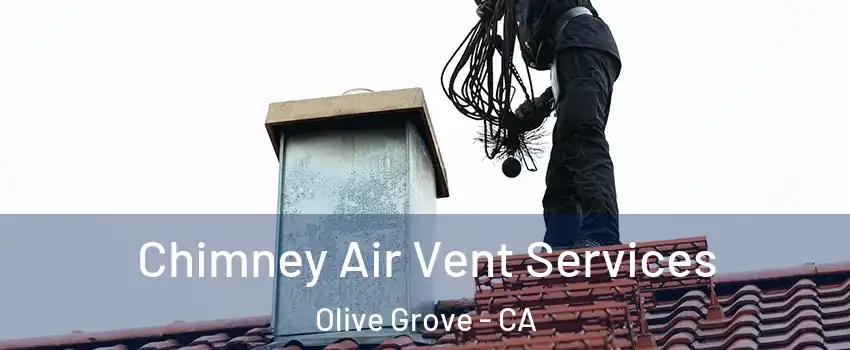 Chimney Air Vent Services Olive Grove - CA