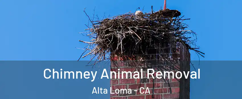 Chimney Animal Removal Alta Loma - CA