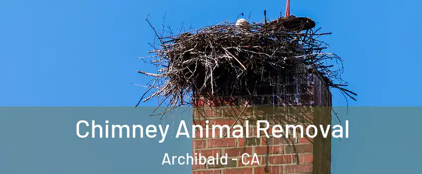 Chimney Animal Removal Archibald - CA