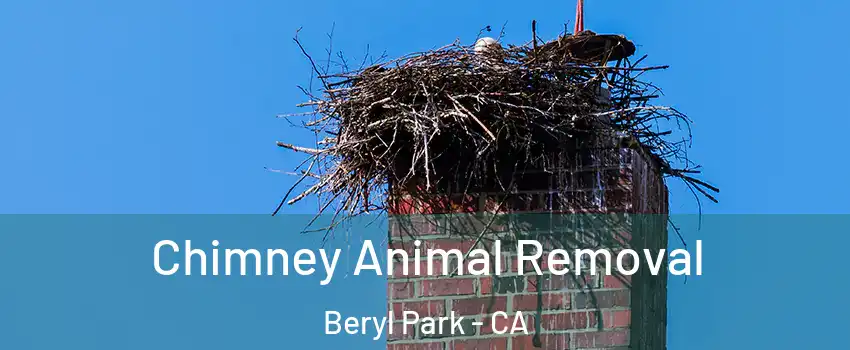 Chimney Animal Removal Beryl Park - CA