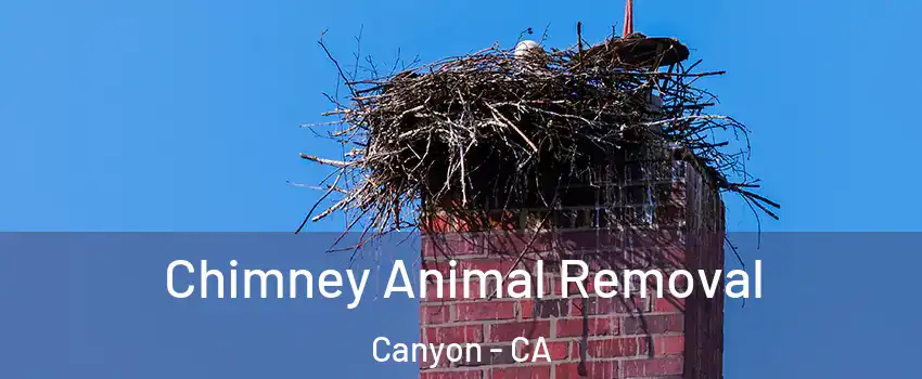 Chimney Animal Removal Canyon - CA