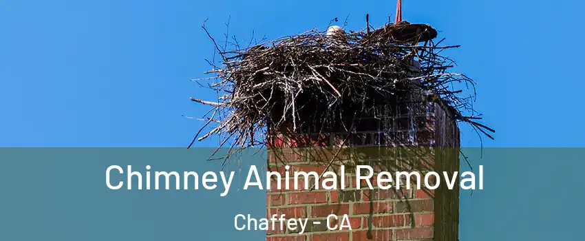 Chimney Animal Removal Chaffey - CA