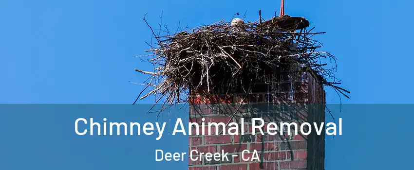 Chimney Animal Removal Deer Creek - CA
