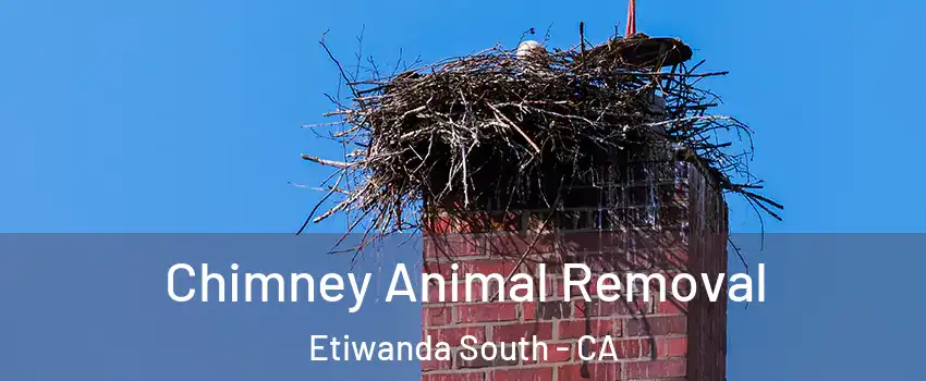 Chimney Animal Removal Etiwanda South - CA