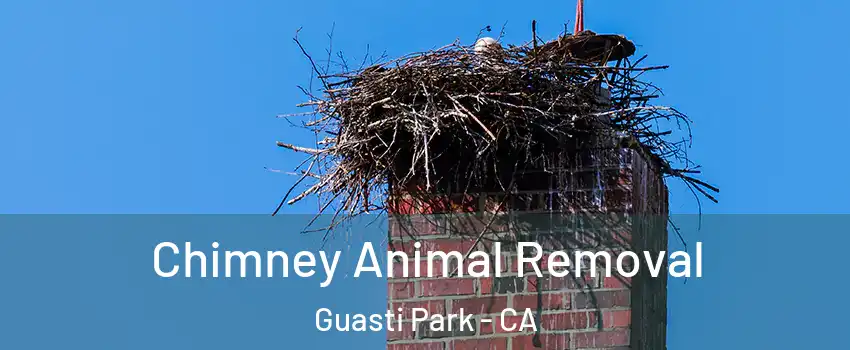 Chimney Animal Removal Guasti Park - CA