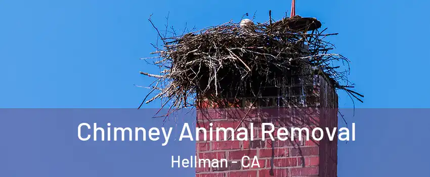 Chimney Animal Removal Hellman - CA