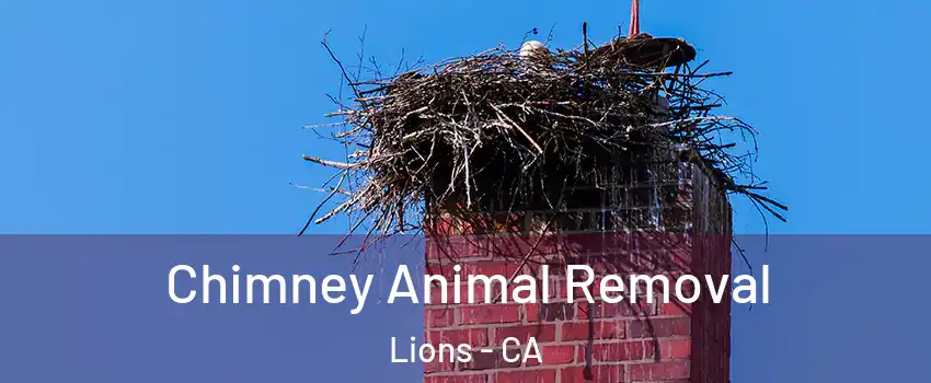 Chimney Animal Removal Lions - CA