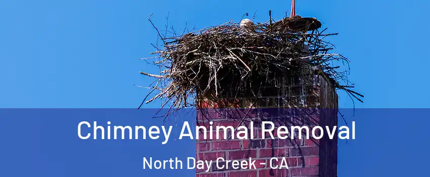 Chimney Animal Removal North Day Creek - CA