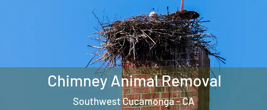 Chimney Animal Removal Southwest Cucamonga - CA