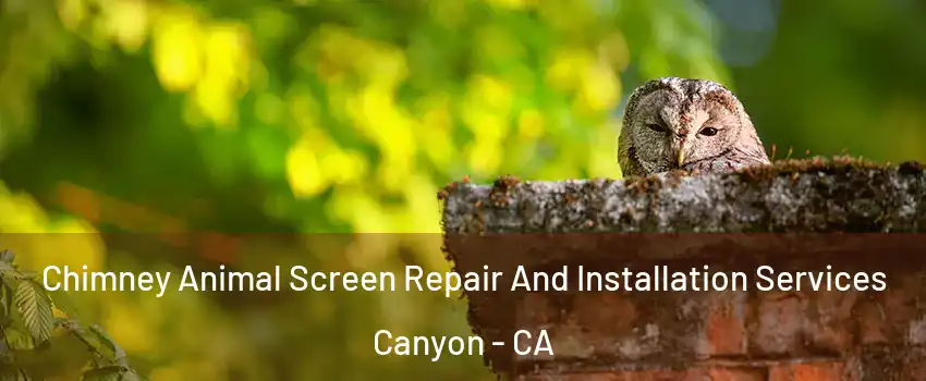 Chimney Animal Screen Repair And Installation Services Canyon - CA