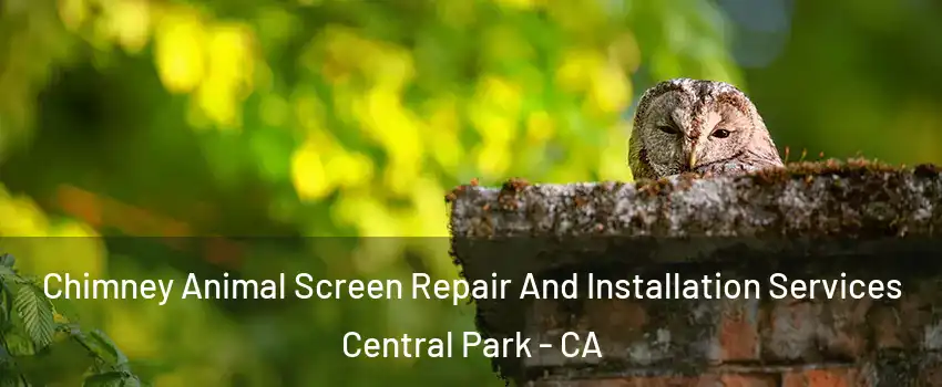 Chimney Animal Screen Repair And Installation Services Central Park - CA