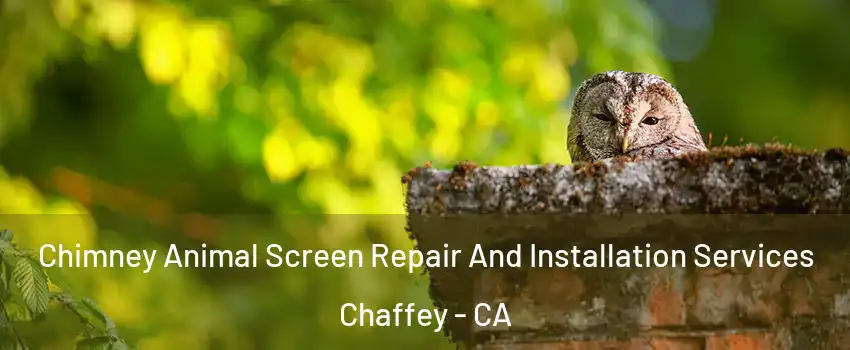 Chimney Animal Screen Repair And Installation Services Chaffey - CA