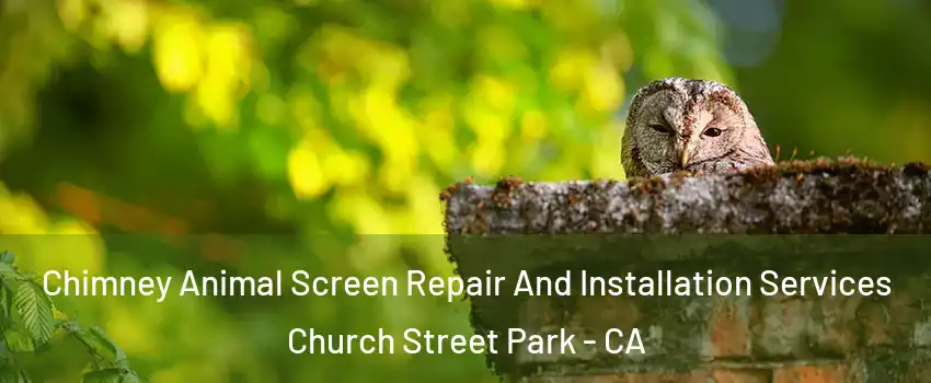 Chimney Animal Screen Repair And Installation Services Church Street Park - CA