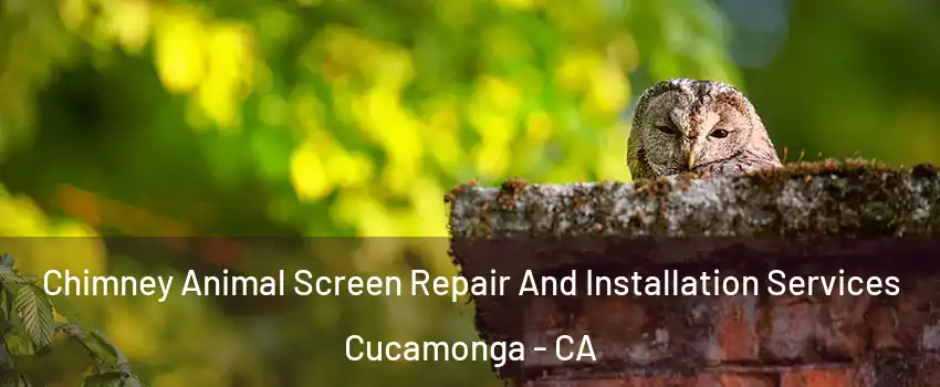 Chimney Animal Screen Repair And Installation Services Cucamonga - CA