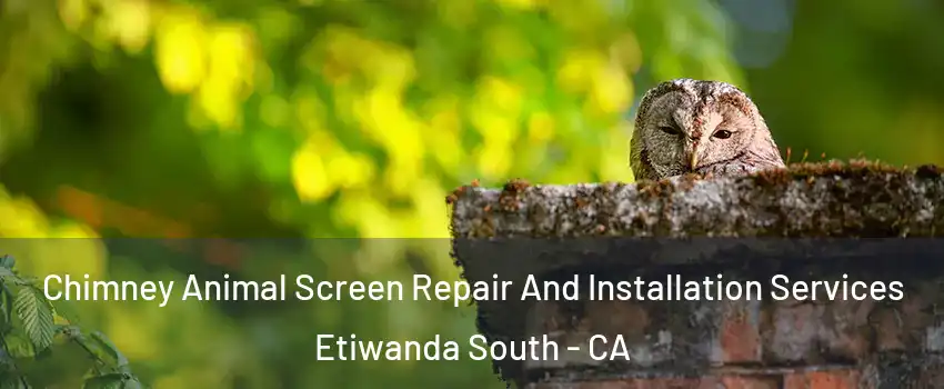 Chimney Animal Screen Repair And Installation Services Etiwanda South - CA