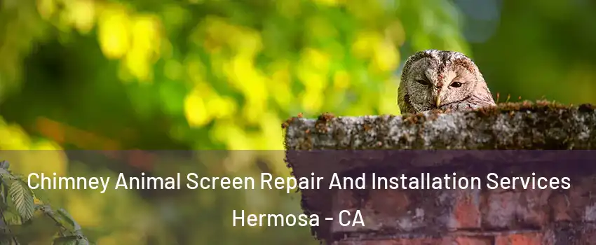 Chimney Animal Screen Repair And Installation Services Hermosa - CA