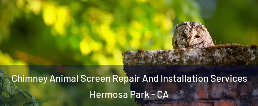 Chimney Animal Screen Repair And Installation Services Hermosa Park - CA