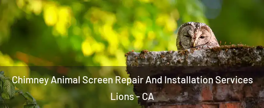 Chimney Animal Screen Repair And Installation Services Lions - CA