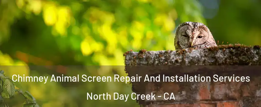 Chimney Animal Screen Repair And Installation Services North Day Creek - CA