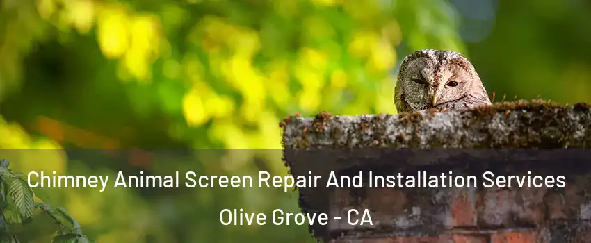 Chimney Animal Screen Repair And Installation Services Olive Grove - CA