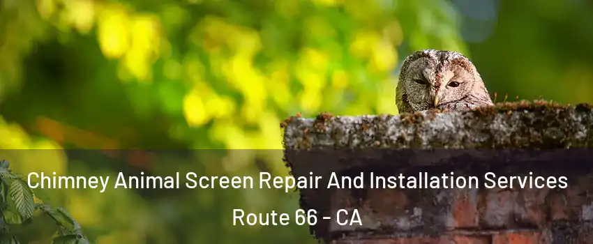 Chimney Animal Screen Repair And Installation Services Route 66 - CA