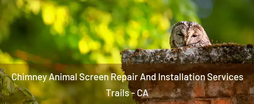 Chimney Animal Screen Repair And Installation Services Trails - CA