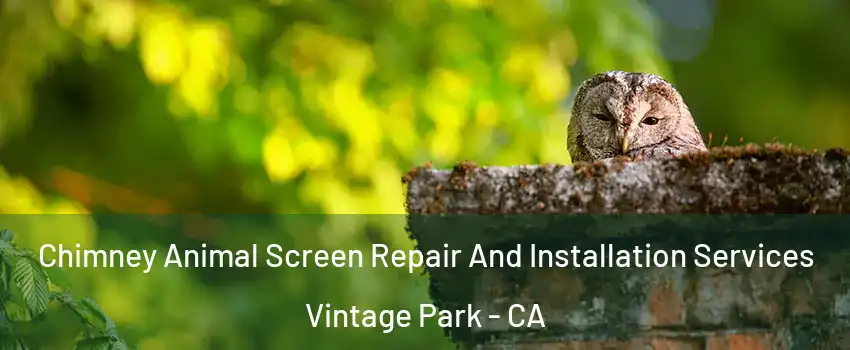 Chimney Animal Screen Repair And Installation Services Vintage Park - CA