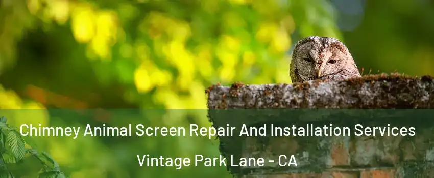Chimney Animal Screen Repair And Installation Services Vintage Park Lane - CA