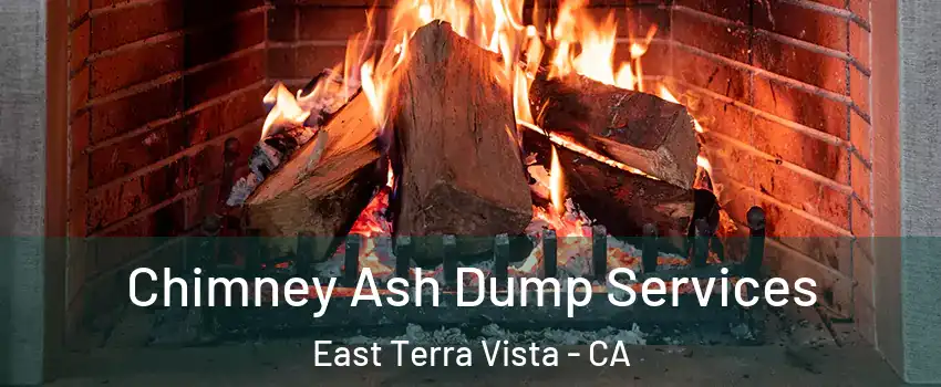 Chimney Ash Dump Services East Terra Vista - CA