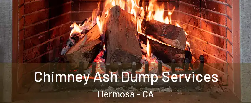 Chimney Ash Dump Services Hermosa - CA