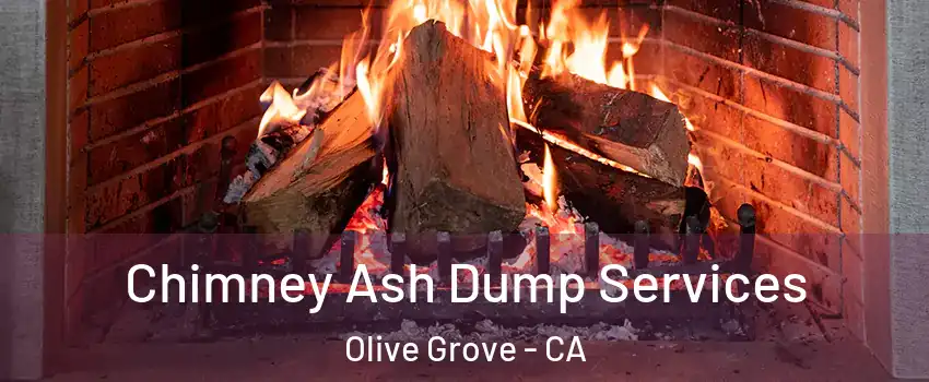 Chimney Ash Dump Services Olive Grove - CA