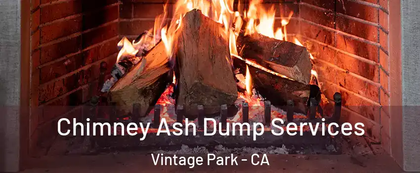 Chimney Ash Dump Services Vintage Park - CA