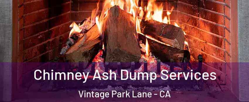 Chimney Ash Dump Services Vintage Park Lane - CA