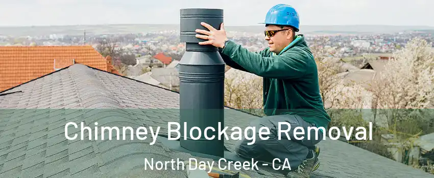 Chimney Blockage Removal North Day Creek - CA