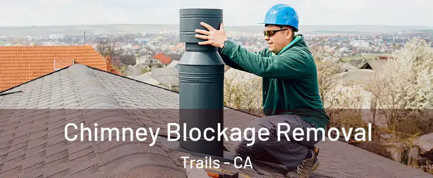Chimney Blockage Removal Trails - CA