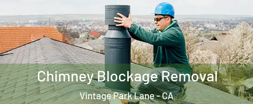 Chimney Blockage Removal Vintage Park Lane - CA