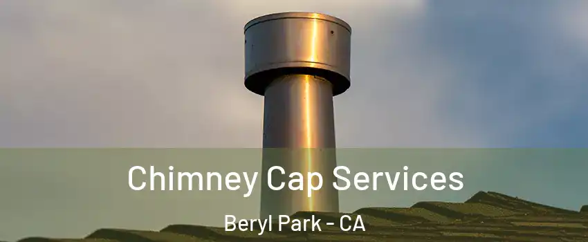 Chimney Cap Services Beryl Park - CA