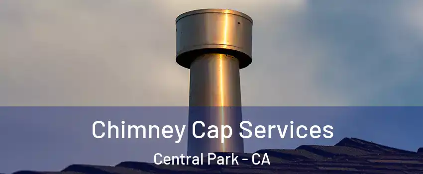 Chimney Cap Services Central Park - CA