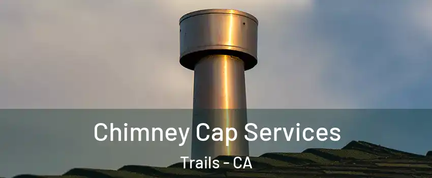 Chimney Cap Services Trails - CA