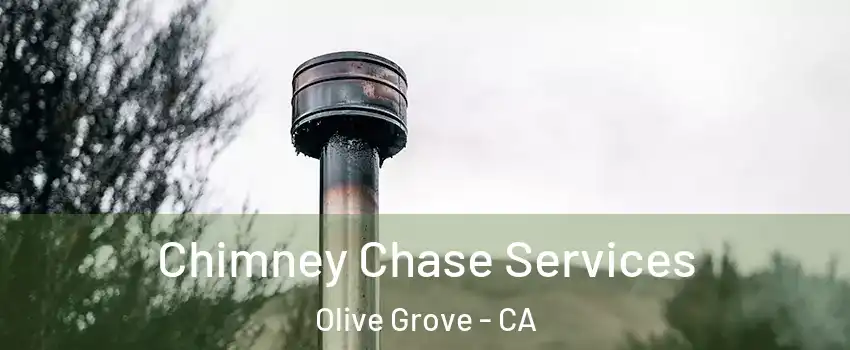 Chimney Chase Services Olive Grove - CA