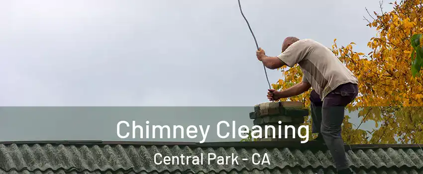 Chimney Cleaning Central Park - CA
