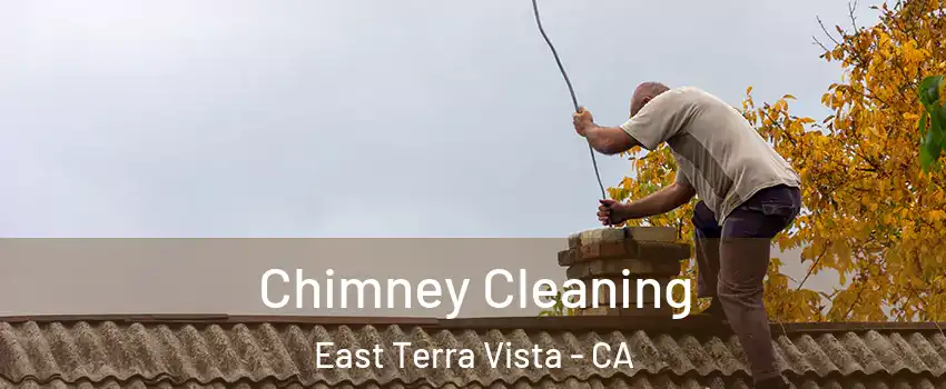 Chimney Cleaning East Terra Vista - CA