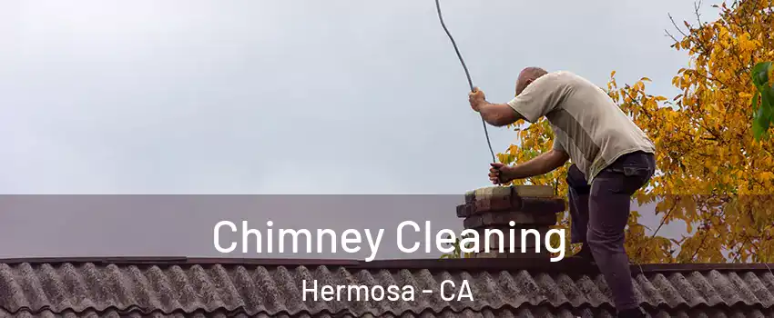 Chimney Cleaning Hermosa - CA