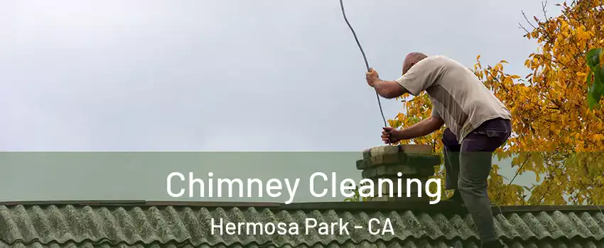 Chimney Cleaning Hermosa Park - CA
