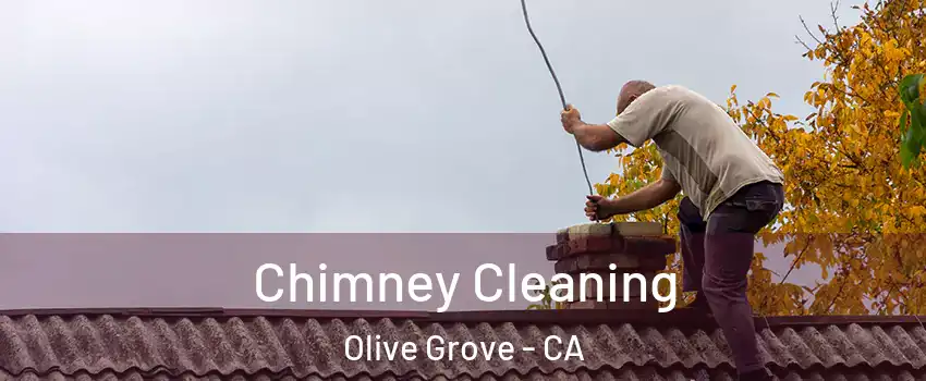 Chimney Cleaning Olive Grove - CA