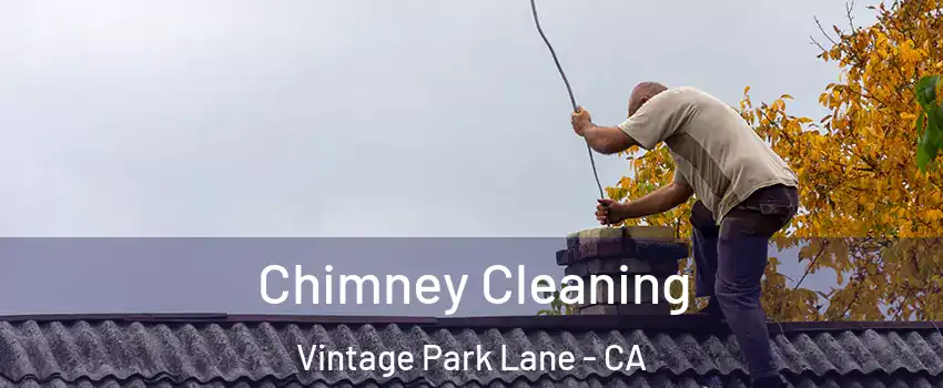 Chimney Cleaning Vintage Park Lane - CA
