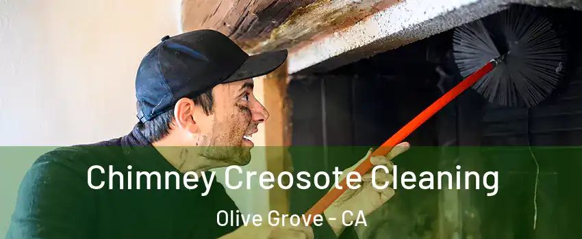 Chimney Creosote Cleaning Olive Grove - CA