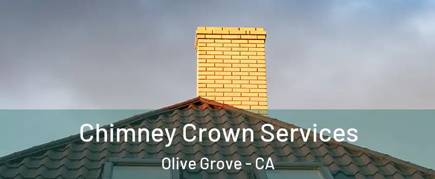 Chimney Crown Services Olive Grove - CA
