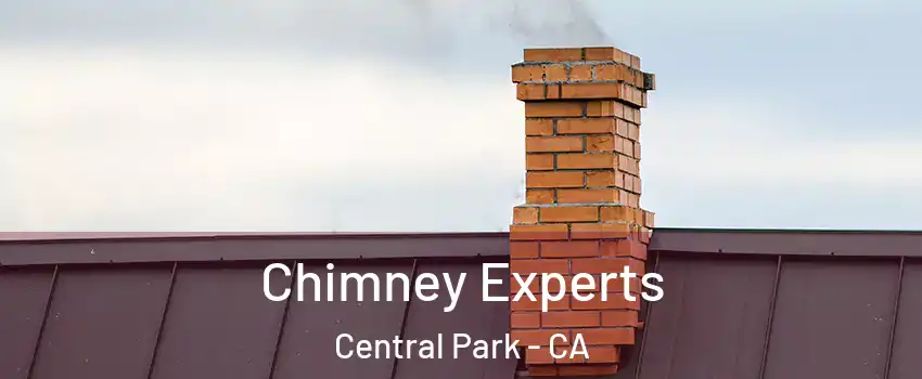 Chimney Experts Central Park - CA